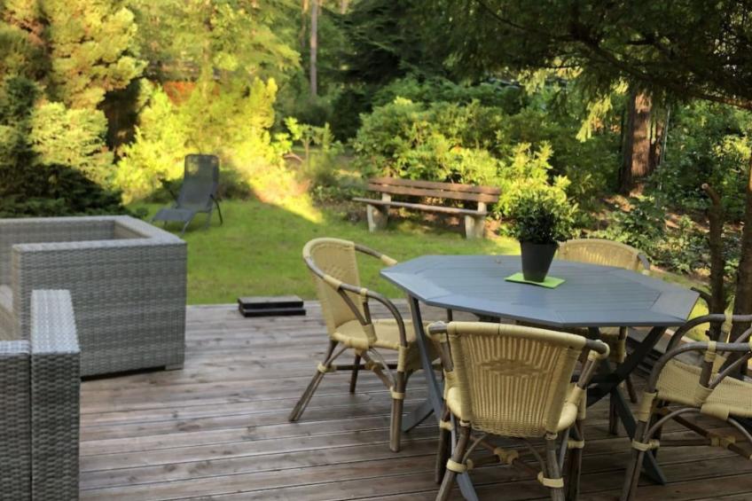 Reetdach Ferienhaus am Lübbesee Sauna Bootsteg neu - foto 7