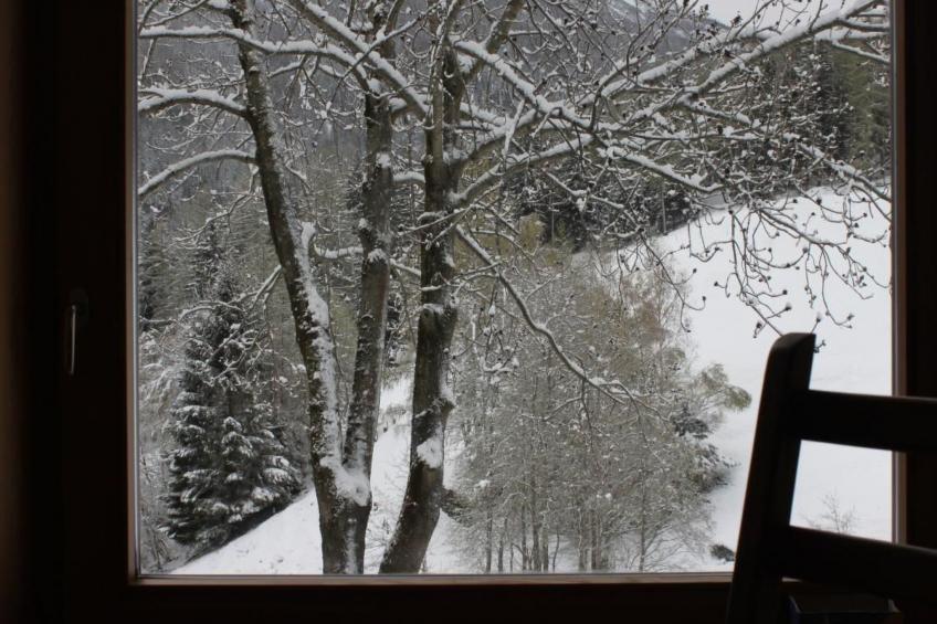 Maiensäss La Scera - foto 10