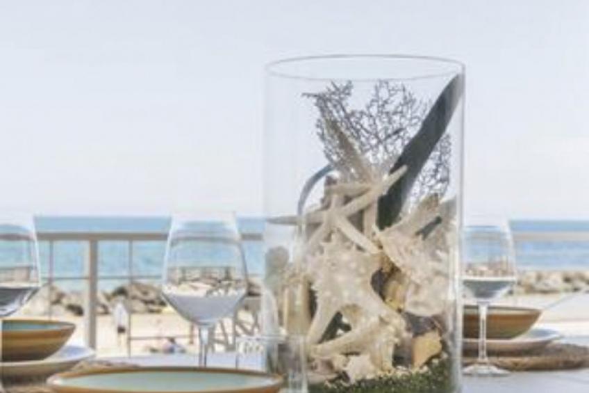 Riva Estate Trappeto Sizilien - foto 11