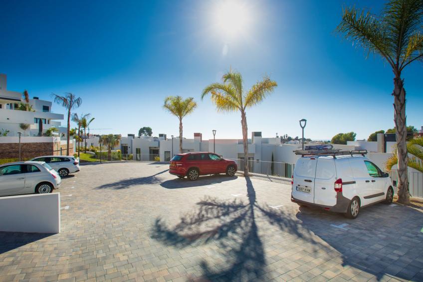 Royal Palm - foto 29