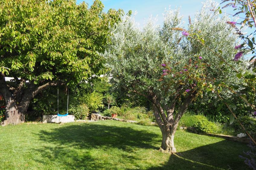 mit Garten und Pool - foto 16