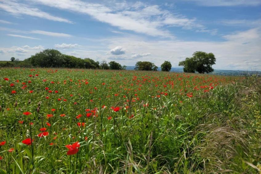 Résidence Le Hameau du Lac 1 - foto 28