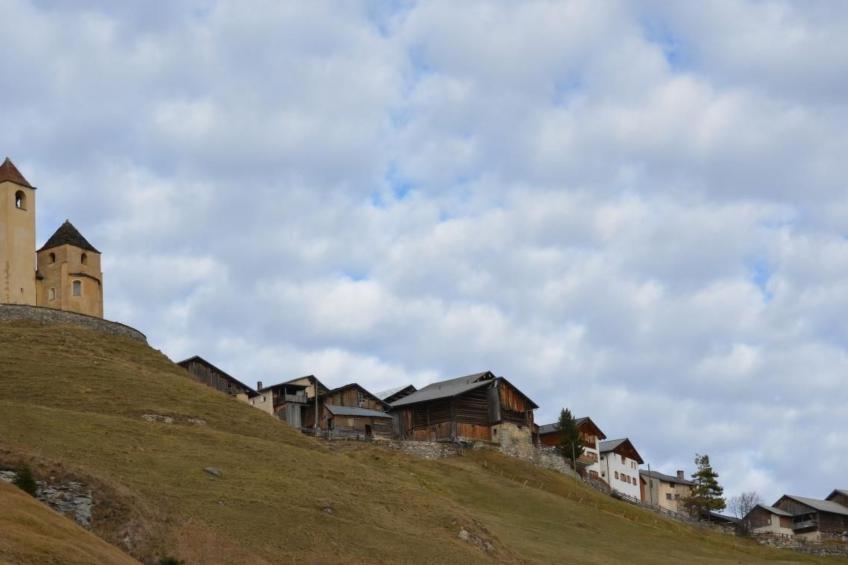 Biohof Furn - foto 9