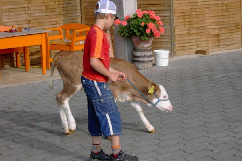 34227 - foto 16