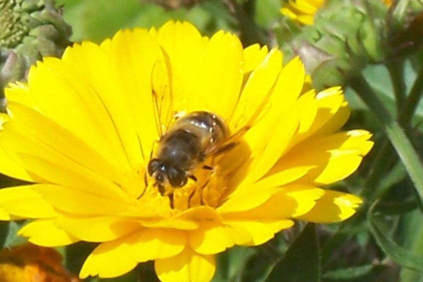 Apartment Merlot in Kurtatsch mit Panoramablick - foto 16