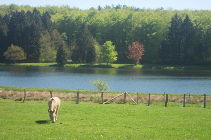 La Petite Buissonnière - foto 32