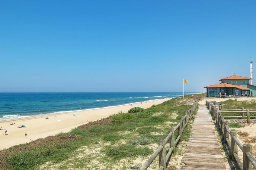 Villa Cocoon Contis-plage 1 chambre - foto 31