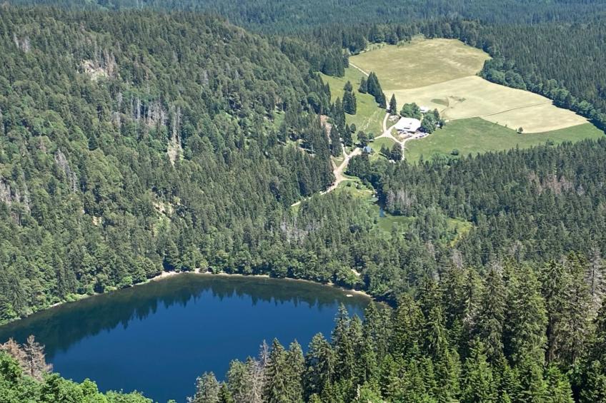 Appartement mit Garten in Schwärzenbach - foto 37