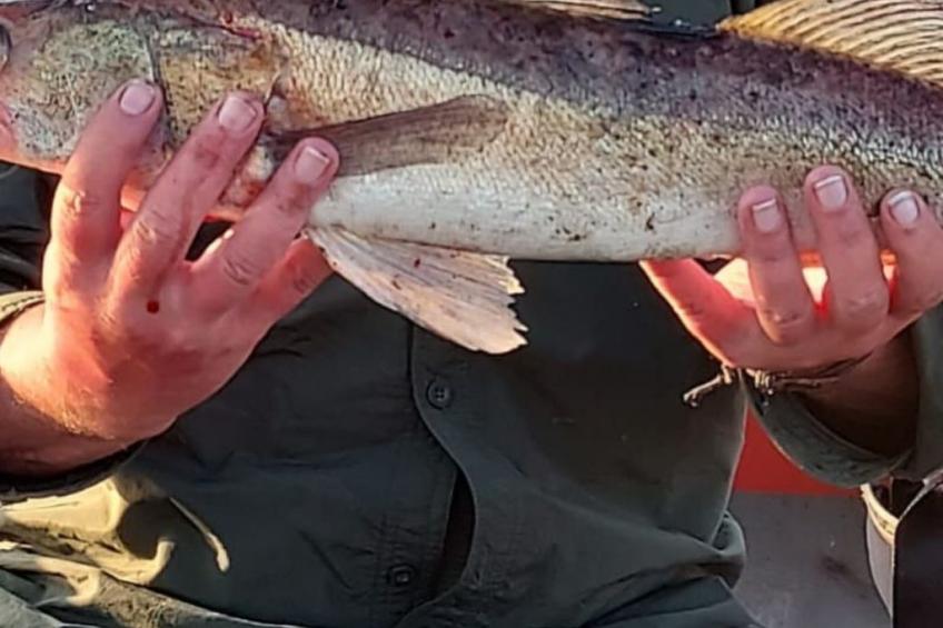 Gemütliches Cottage mit Whirlpool - foto 6