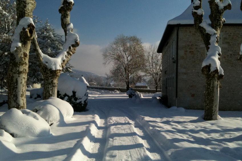 Villa "Domaine du Manoir" - foto 5