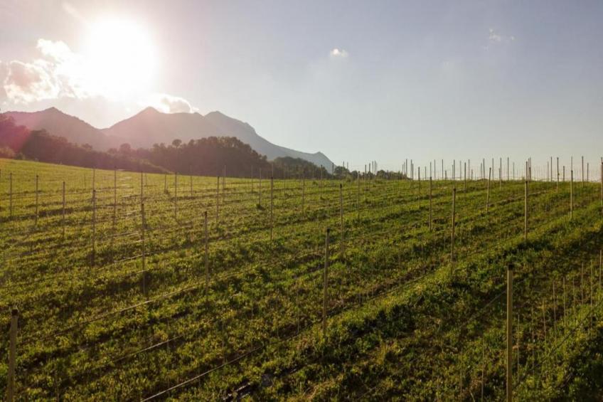 Raggio di Sole - foto 37