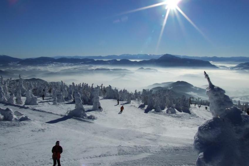 Nettes Ferienhaus in Telgárt - foto 17
