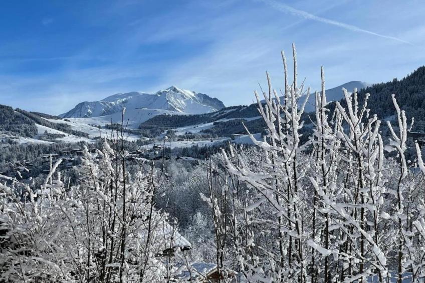 Les Portes de Megève 2 - foto 38