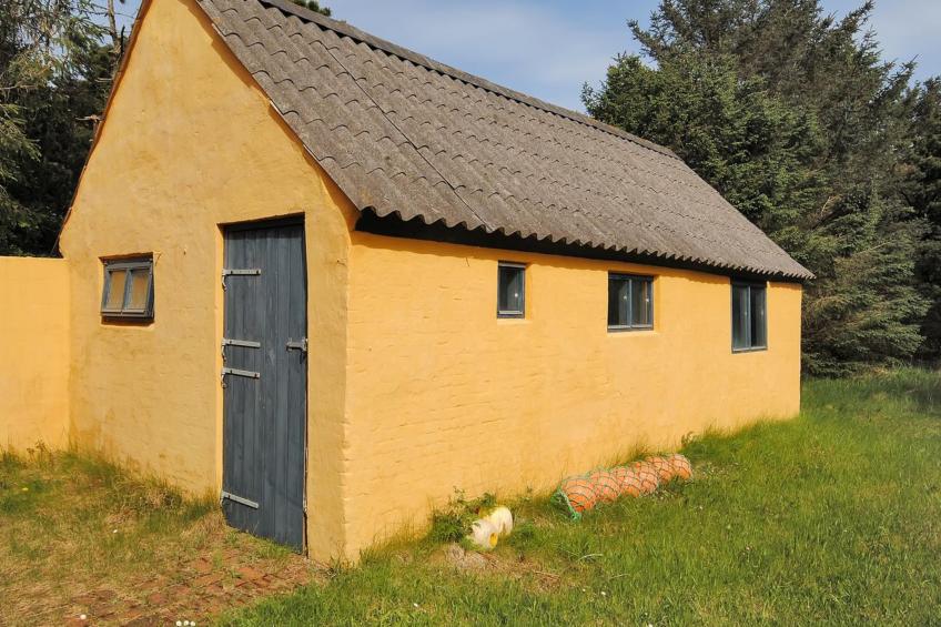 "Margrethe" - 1.1km from the sea in NW Jutland - foto 15