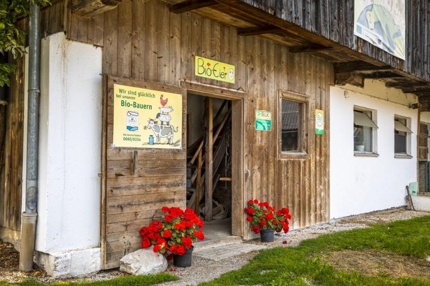 Hanserbauer - foto 42