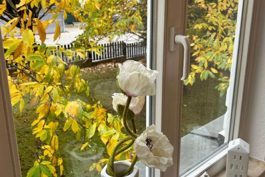 Fewo Fröhlich - foto 3