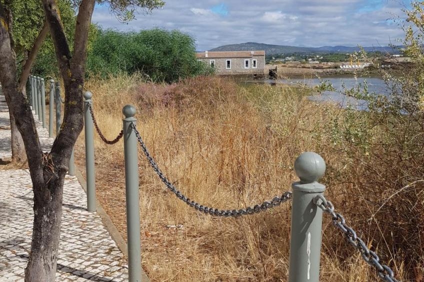 "Estrelinha da Fuzeta" - foto 19