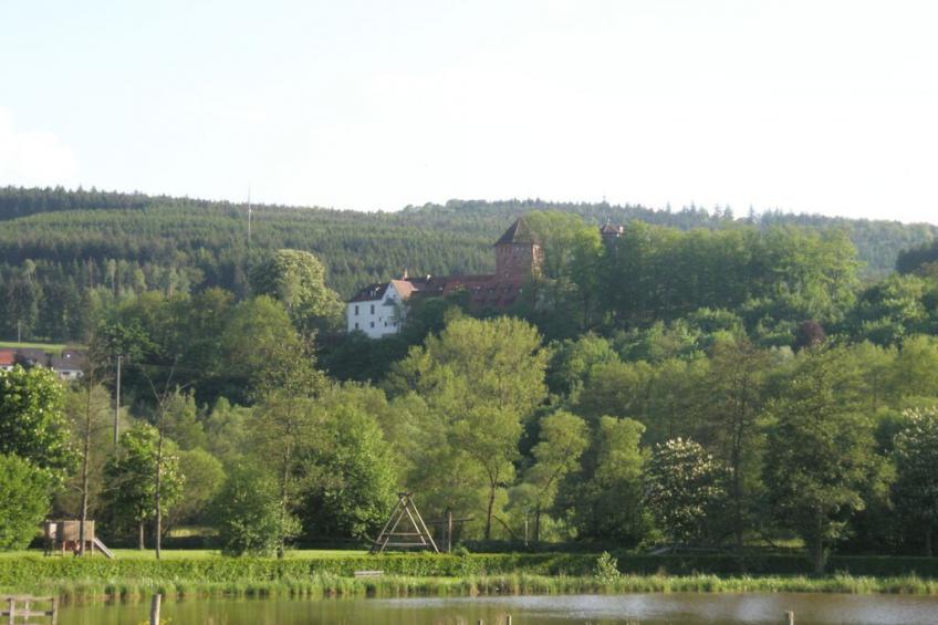 15495 - foto 15