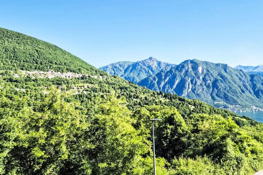 Bellavista - foto 19