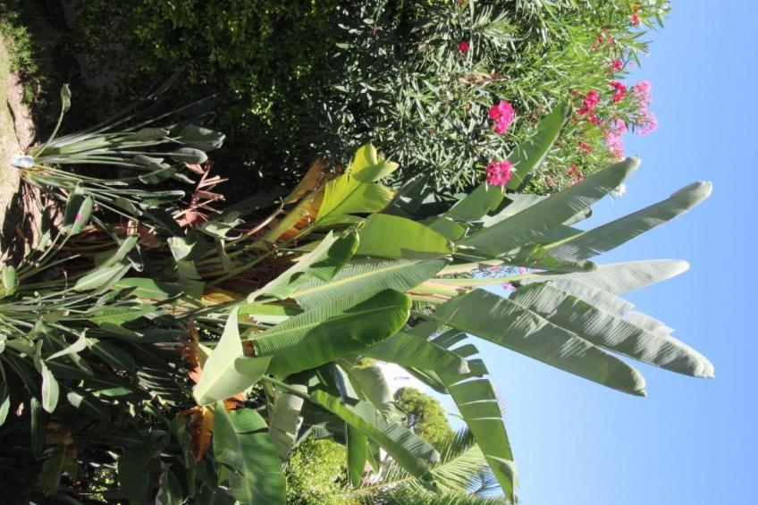 in Almancil mit Garten, Grill und Terrasse - foto 64