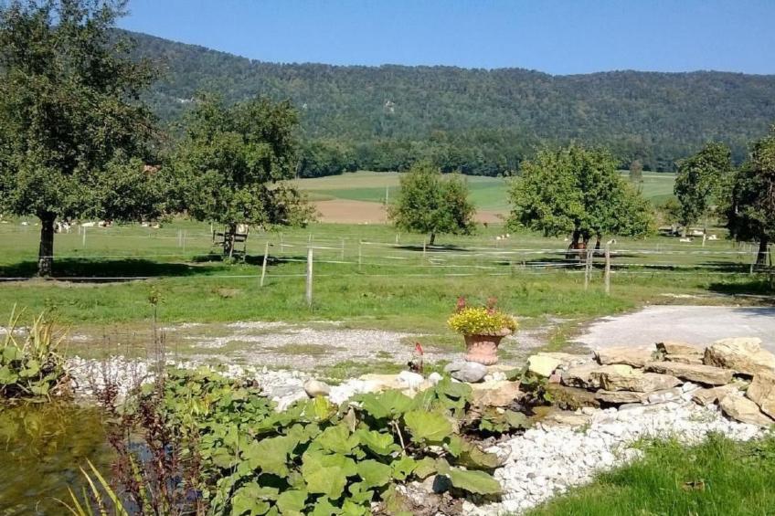 Wohnung Gîte rural de Courcelon - foto 12