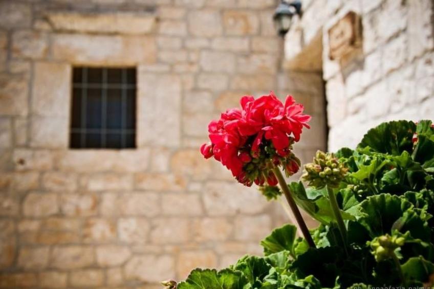 Trullo degli Archi, Entspannung und Essen und Wein - foto 61