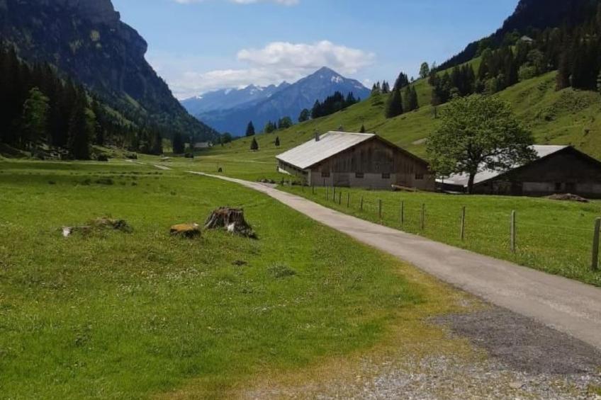 LiloTopMountainView - foto 26