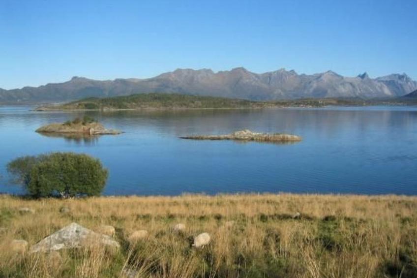 Nesset, Meløy Naturerlebnisse - foto 5