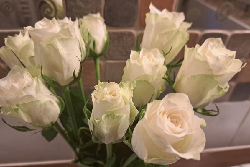 Appartement 2 - foto 43