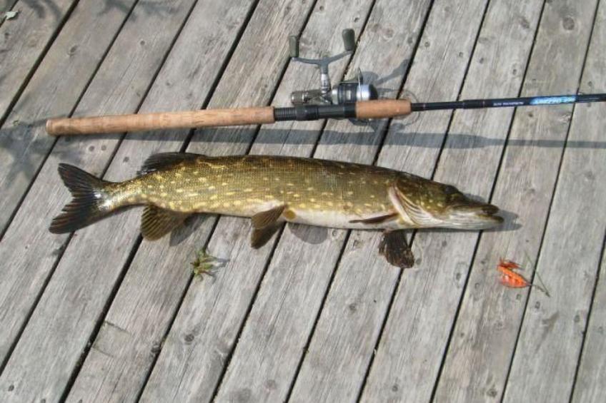 in Drag mit Möblierter Terrasse - foto 13