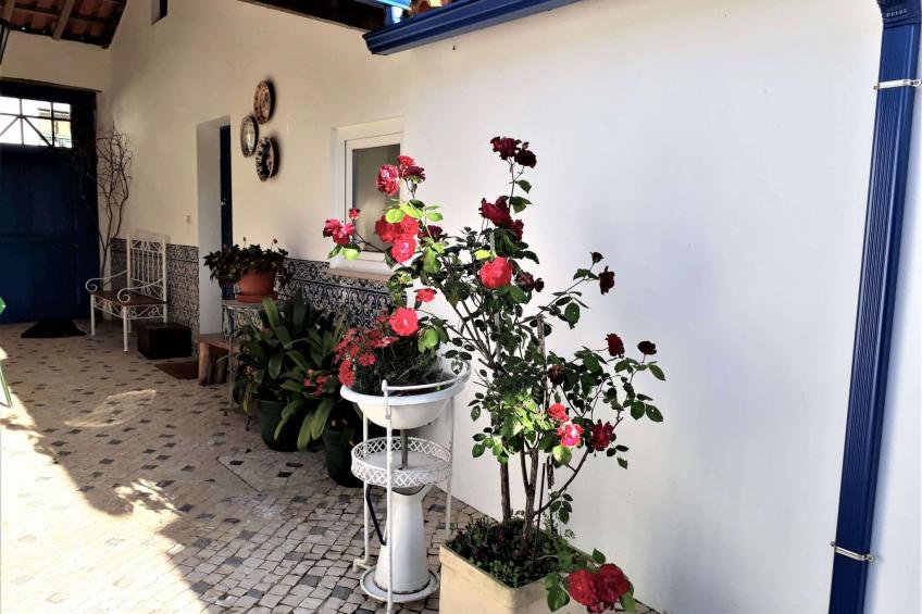 Quinta D'Avó Amélia, wunderschönes Landhaus zwischen den Bergen und dem Meer - foto 21