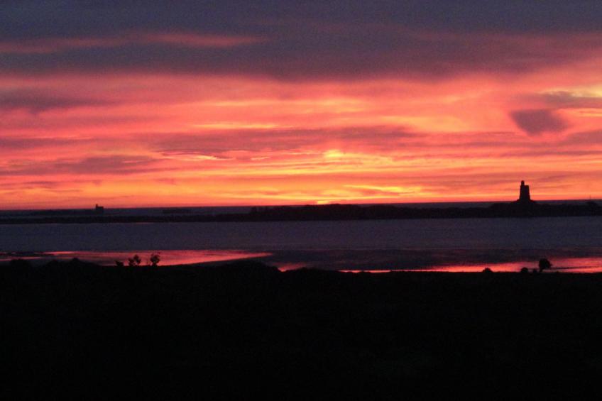 "L'Eucalyptus - foto 18