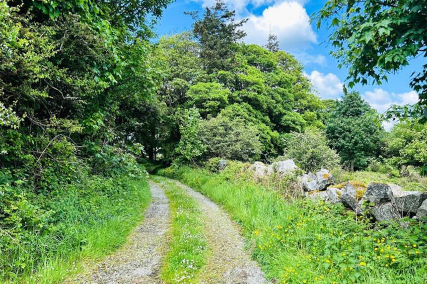 Maison à Rosmuck - foto 32