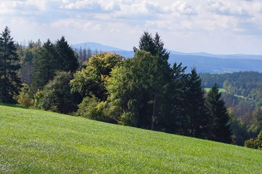 Am Springelbach - foto 21