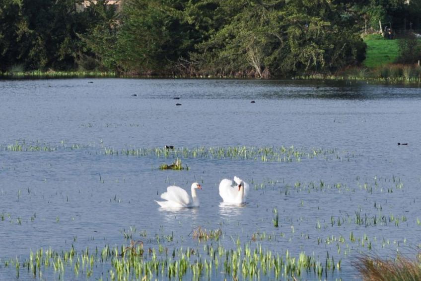 La Bergerie - foto 11