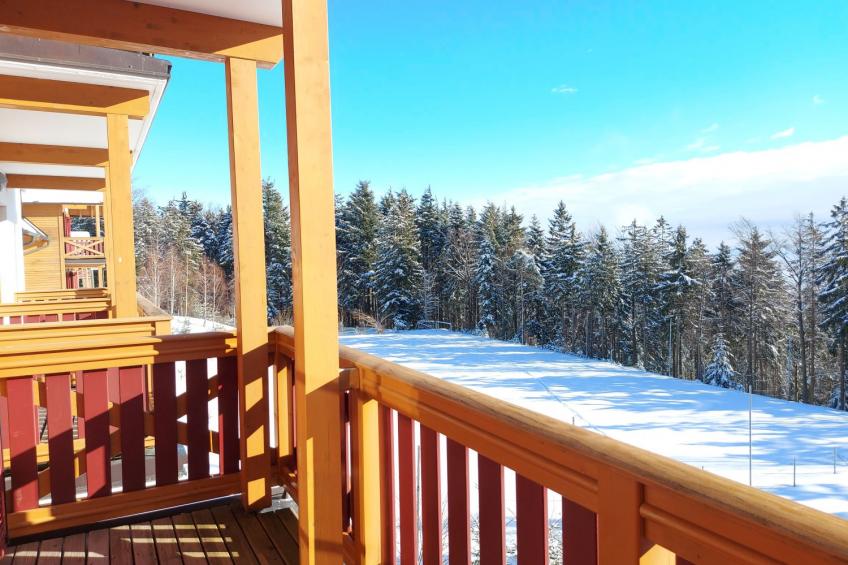 Forest Apartments Videc - Pohorje Bilo 7 - foto 14