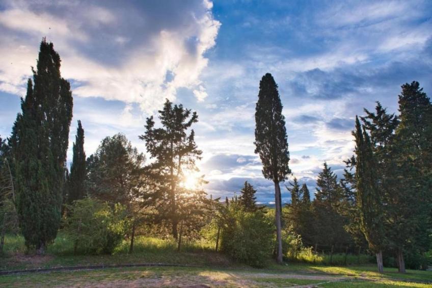 Gaville Cinque - foto 34