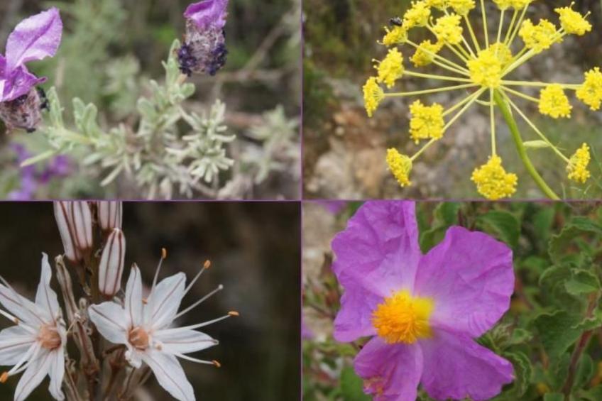 Wohnung mit allem Komfort Strand zu Fuß - foto 54