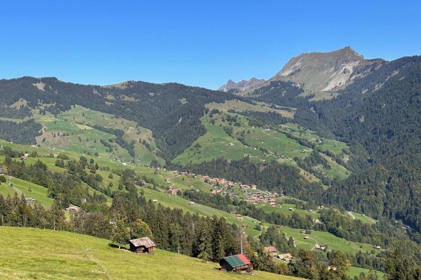 Wohnung Niesenblick - foto 16