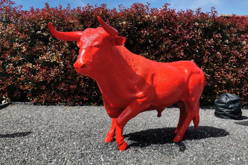 Zwischen Meer und Land - foto 20