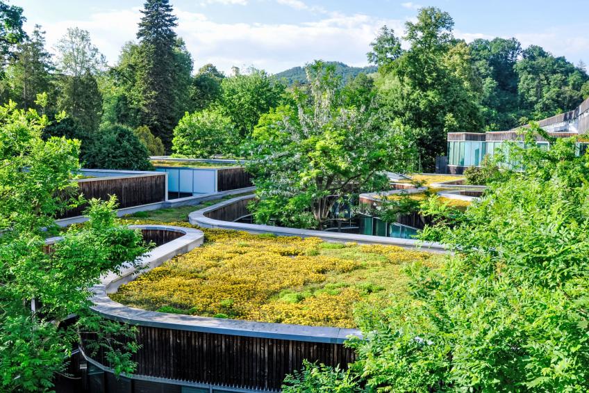 Ferienhaus am Meißlberg - foto 15