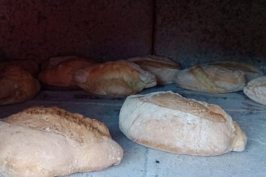 der Birnbaum - foto 9