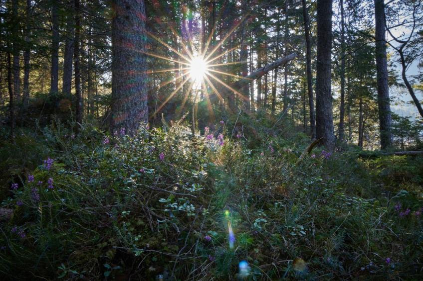 Wohnung in Garmisch-Partenkirchen - foto 21