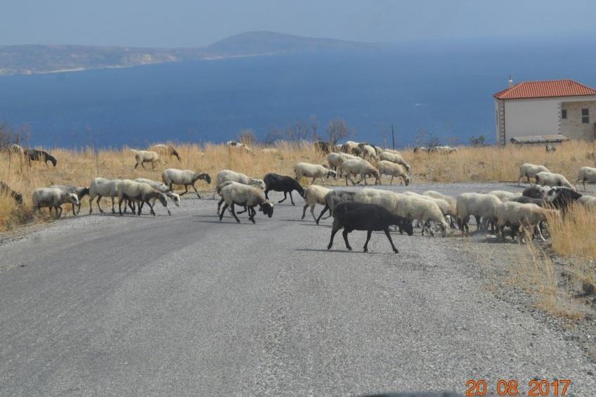 mit Privatpool für 12 Personen in Agia Galini, Kreta - foto 56