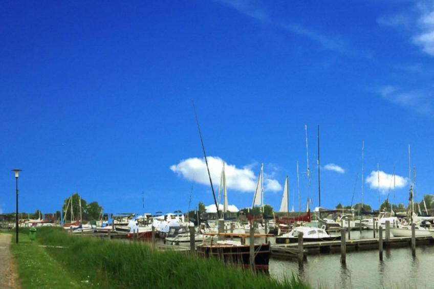 203 Marijke - foto 56