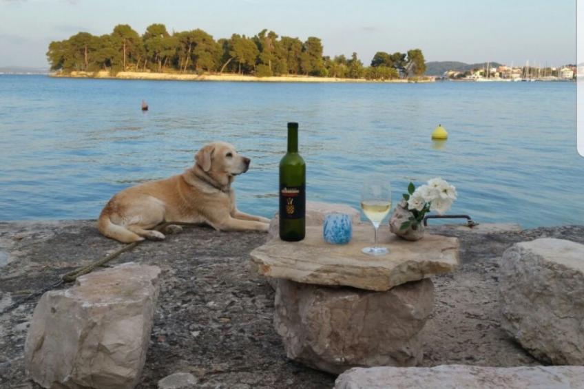 Steinhaus in Strandnähe mit Whirlpool - foto 42