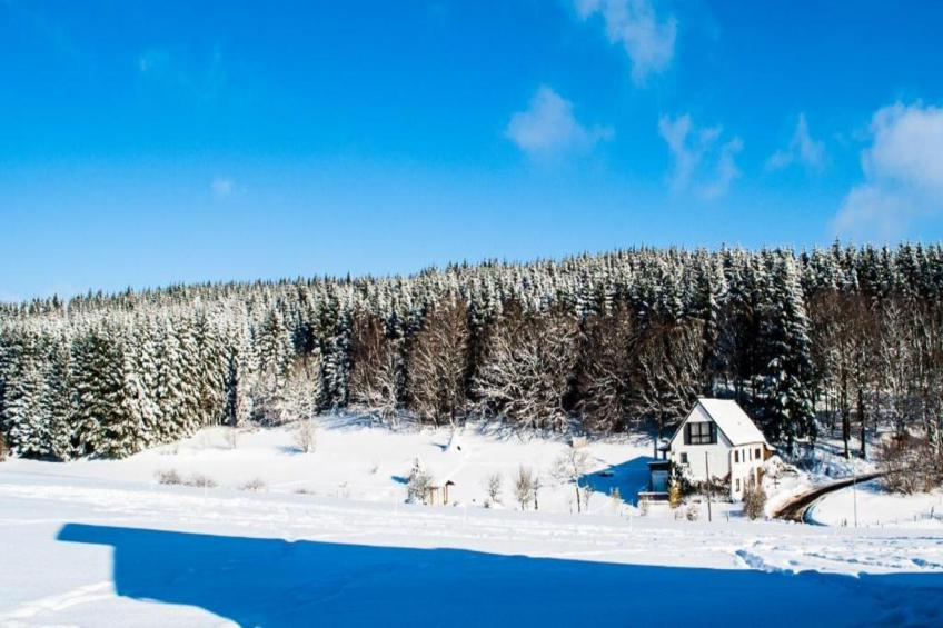 Luxurious Montafon Chalet Small 1 - foto 28