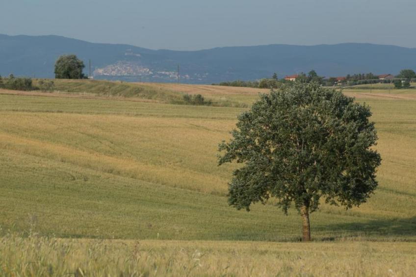 Villa Berta - foto 37