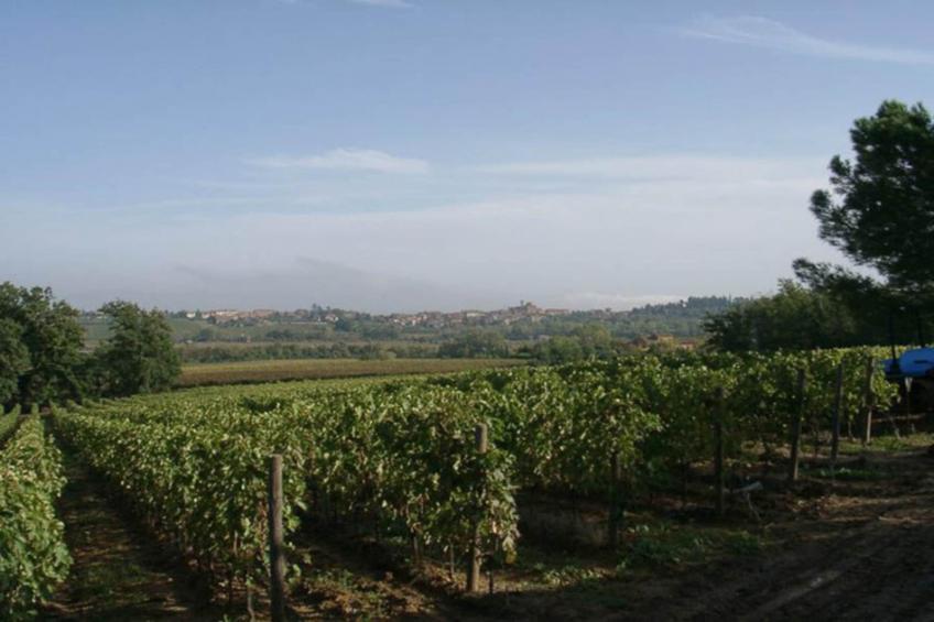 L'Angolo - foto 21