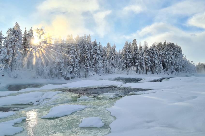 Villa Moose - foto 21